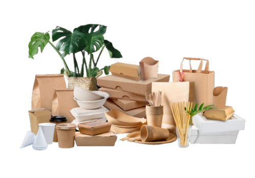 multiple compstable food packaging with plant in the back | Packaging alimentaire éco-responsable compostable
