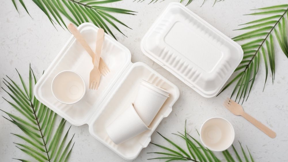 7 Reasons to Switch to Eco-Friendly Food Packaging | Direct Imex