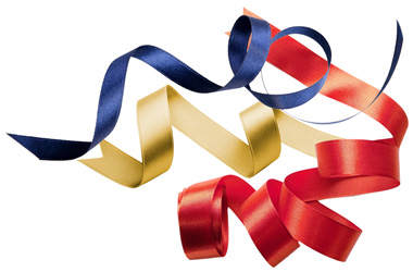 luxury accessories multi colored ribbons luxury accessories for box embellishments | rubans multicolores accessoires luxe pour embellissements boites | Packaging de luxe