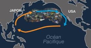 septième continent : déchets et sacs plastiques