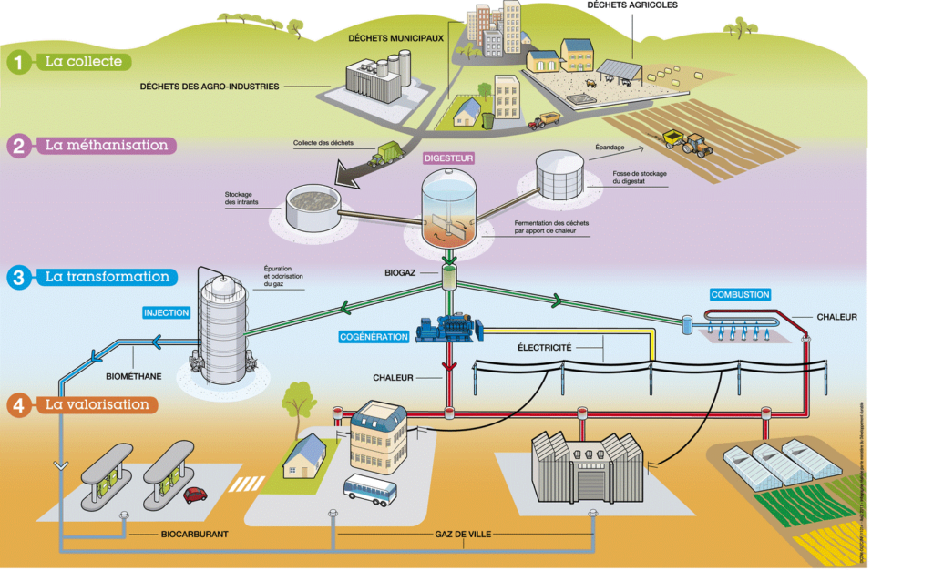 Process methanization- organic waste- Green- 